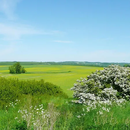 Mit Traumhaftem Meerblick - Haus Am 10 Apartment