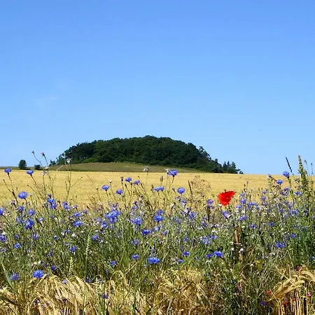 Mit Traumhaftem Meerblick - Haus Am 10 Apartment Lohme